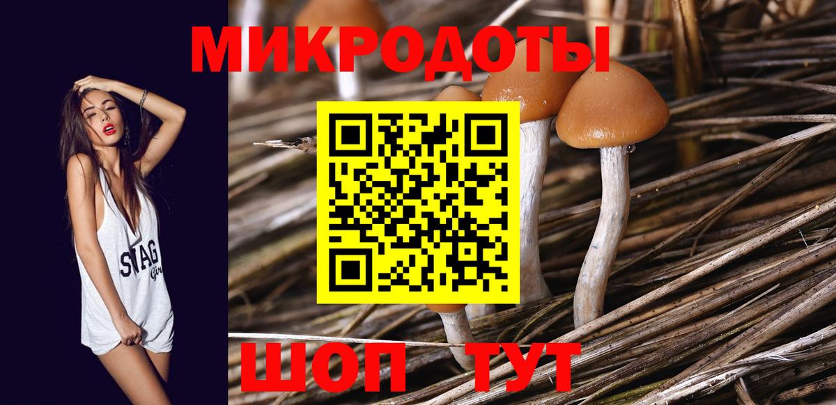 Галлюциногенные грибы GOLDEN TEACHER Кашира